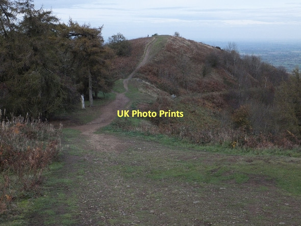 Photo 6"x4" Looking down the north slope of Jubilee Hill Brand Green\/SO7641 c2011