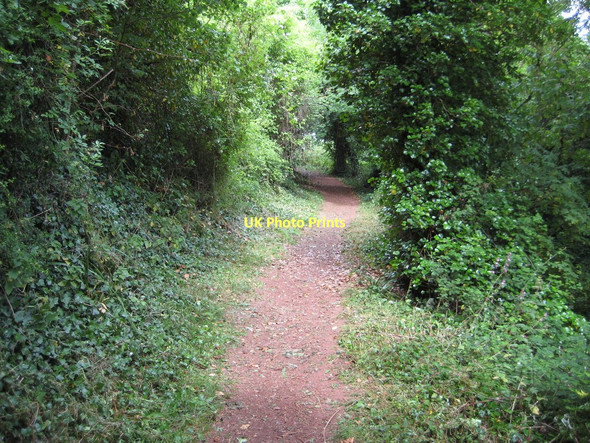 Photo 6"x4" Coast path near St Marychurch Torquay c2011