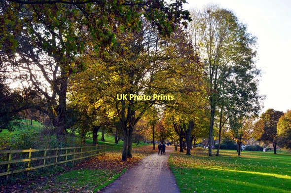 Photo 6"x4" Yeovil: Autumn in Ninesprings Yeovil c2011
