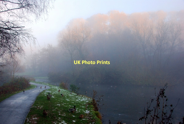 Photo 6"x4" Yeovil: Fog in Ninesprings Yeovil c2010