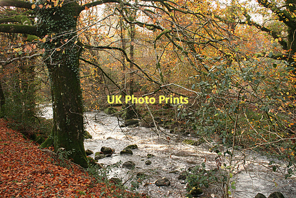 Photo 6"x4" Harford: the river Erme Harford\/SX6359 c2011