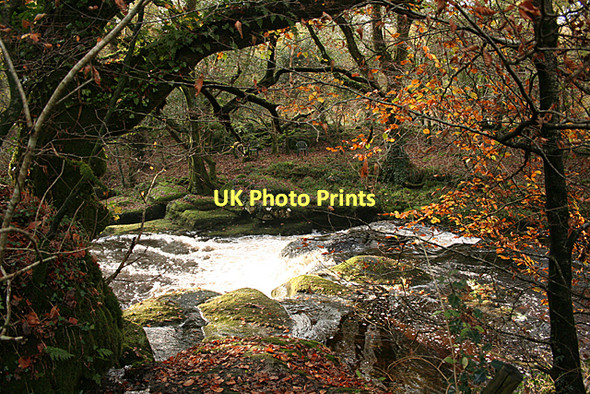 Photo 6"x4" Harford: waterfall by Kings Wood Harford\/SX6359 c2011