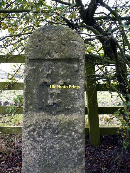 Photo 6"x4" River Tyne Tide Stone Ryton\/NZ1564 c2011