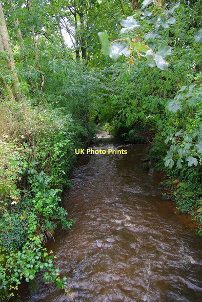 Photo 6"x4" The river at Bridgetown, looking east Bridgetown\/R6467 c2011