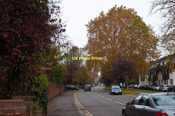 Photo 6"x4" An autumnal view of Reading Road at Upton Close Henley-on-Thames c2011