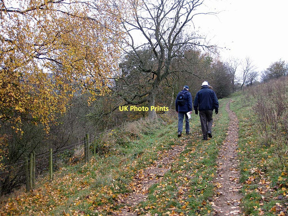 Photo 6"x4" Footpath towards Thorgill Farm Thorgill c2011