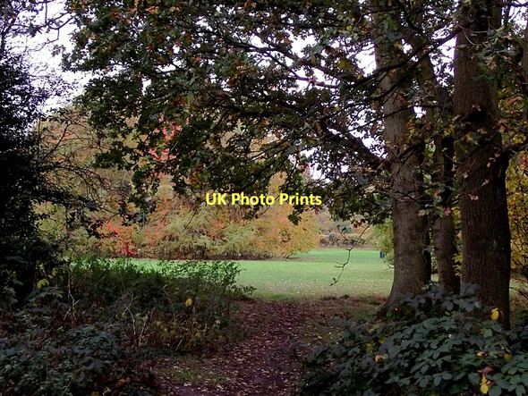 Photo 6"x4" Woodlands Walk in Penn, Wolverhampton Wolverhampton c2011