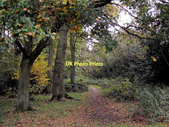 Photo 6"x4" Track  towards the Penn Road, Wolverhampton Wolverhampton c2011