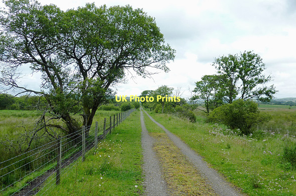 Photo 6"x4" Dismantled railway course near Tregaron, Ceredigion Swyddffynnon c2011 P1