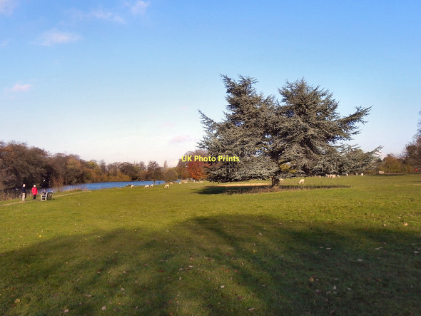 Photo 6"x4" Poynton Park Hazel Grove\/SJ9286 c2011