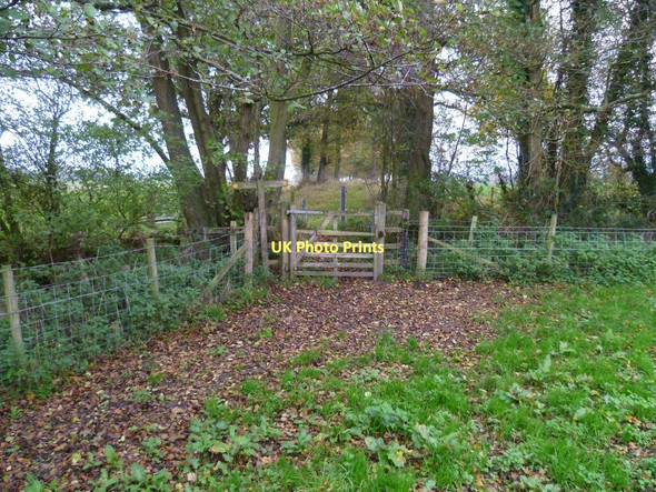 Photo 6"x4" Footpath to Brimbrook Lane reaches stream Ingrams Green c2011