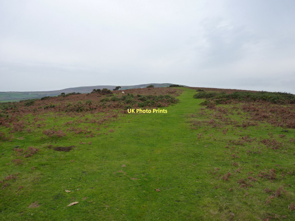 Photo 6"x4" Path to the top of Ryer's Down Cheriton\/SS4593 c2011