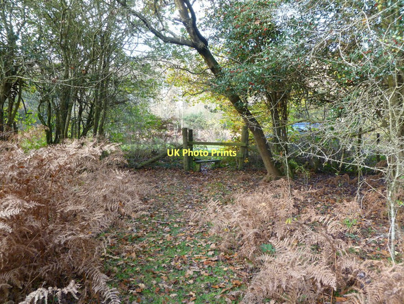 Photo 6"x4" Lyndhurst, stile Clayhill\/SU3007 c2011