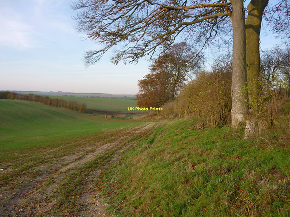 Photo 6"x4" Arable farmland with banks of trees Beedon c2011 P1