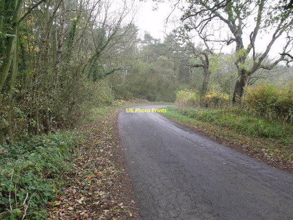 Photo 6"x4" Bend in Rye Lane at Mother Wood Galley Hill\/TF4479 c2011