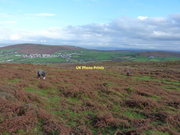 Photo 6"x4" High on Rhossili Down Hillend\/SS4191 c2011