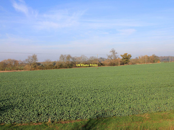Photo 6"x4" Course of the River Itchen Hunningham Hill c2011