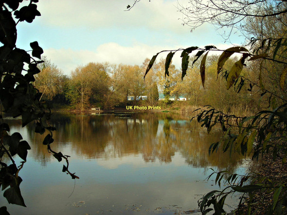 Photo 6"x4" Lake at Rotherwas (autumn view) Hereford c2011