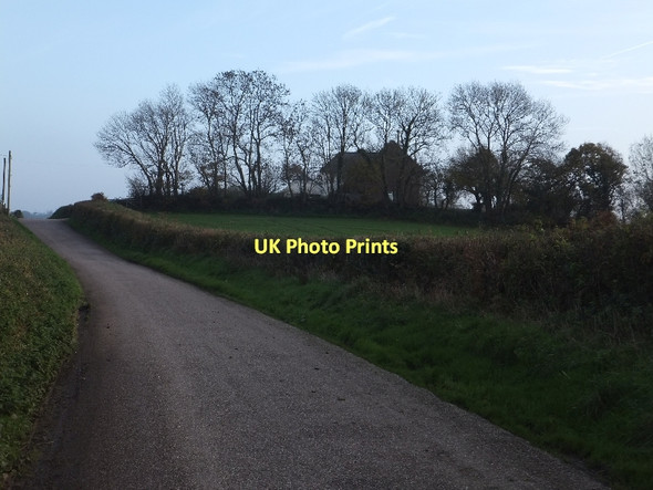 Photo 6"x4" A Devon hedge providing shelter for the hilltop house Middlecott\/SS7507 c2011