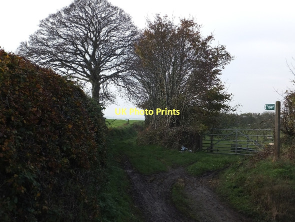 Photo 6"x4" The end of Back Lane (a restricted byway) Middlecott\/SS7507 c2011