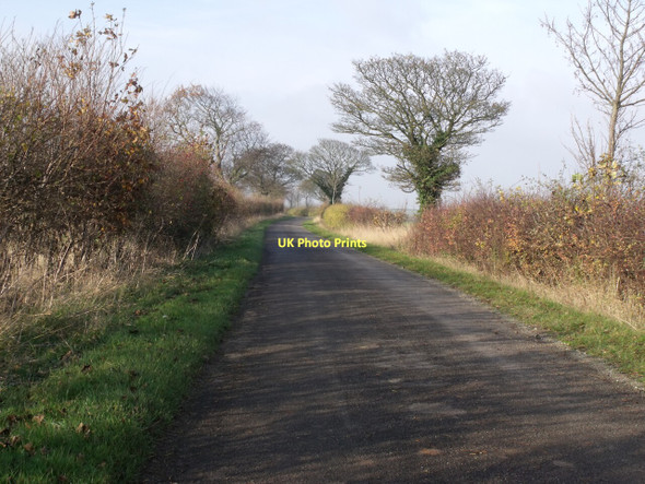 Photo 6"x4" Lane near Fordington Fordington c2011
