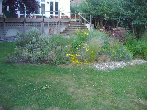 Photo 6"x4" Garden on The Towpath, Shepperton Addlestone c2009