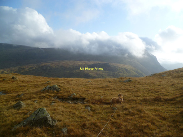 Photo 6"x4" Above Black Crags Black Crags\/NY2508 c2011