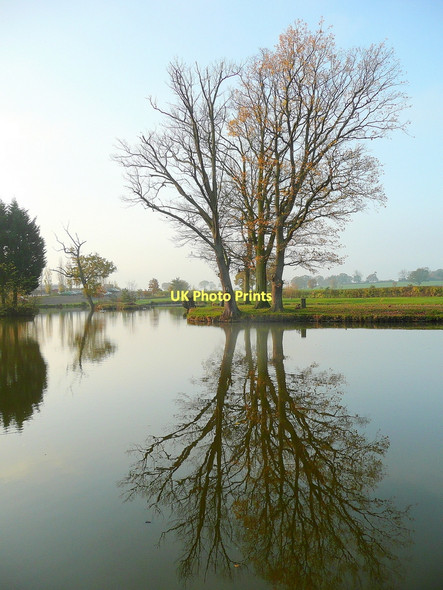 Photo 6"x4" Group reflection Staunton\/SO7829 c2011