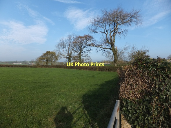 Photo 6"x4" Farmland and trees in hedge at Weeke Middlecott\/SS7507 c2011