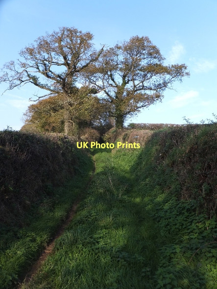 Photo 6"x4" Two Moors Way south of Weeke Weeke\/SS7606 c2011