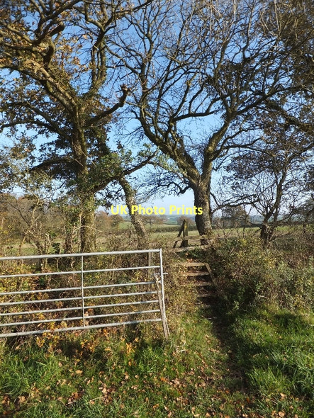 Photo 6"x4" Ladder stile on the Two Moors Way Morchard Road c2011