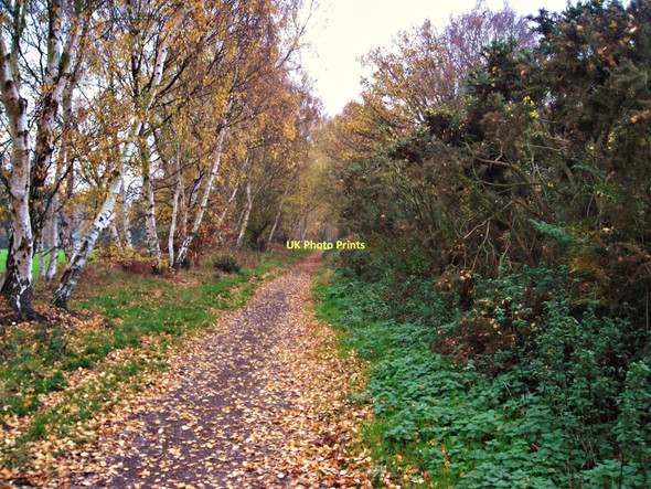 Photo 6"x4" Former railway line at Rainworth Rainworth c2011