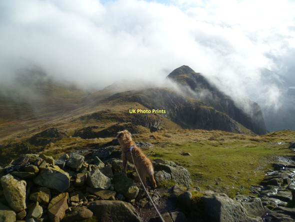 Photo 6"x4" On Pike of Stickle Langdale Pikes c2011