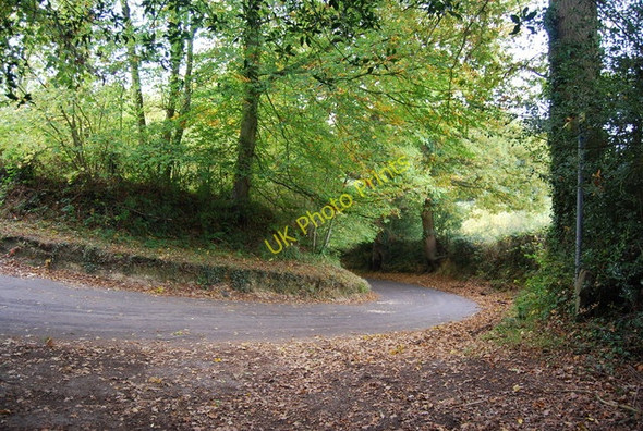 Photo 6"x4" Bend on Farnham Lane Broomhill Bank c2009
