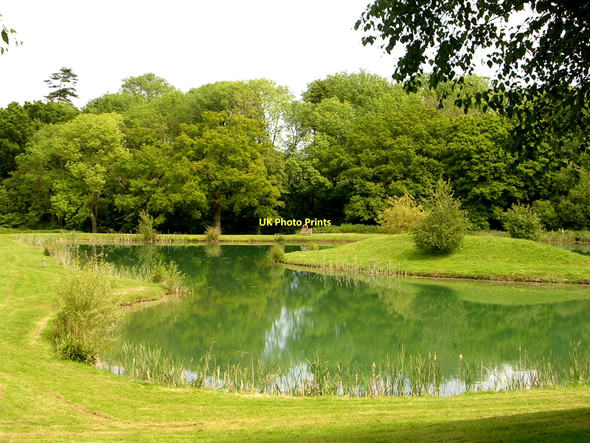 Photo 6"x4" Fishing lake near Duncton Mill Barlavington c2009