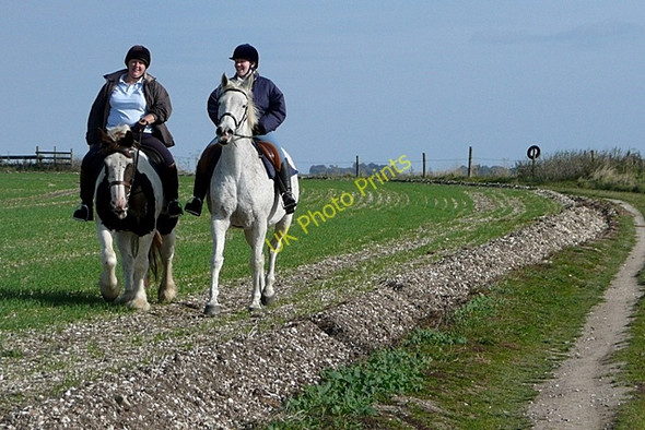 Photo 6"x4" Horse country Upper Lambourn c2009