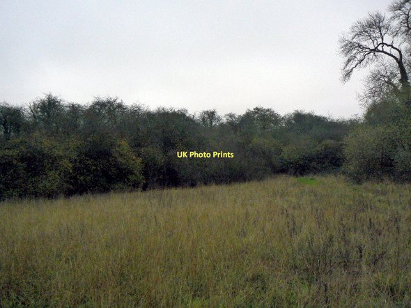Photo 6"x4" Pond Bay, Normanton Normanton-on-the-Wolds c2011