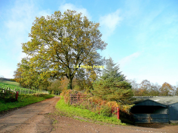 Photo 6"x4" Farm buildings by Birches Wood Grosmont\/SO4024 c2011
