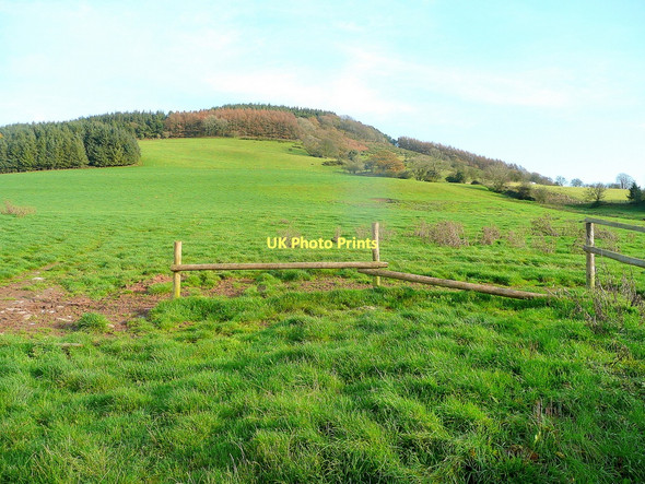 Photo 6"x4" View to the hill Cross Ash c2011