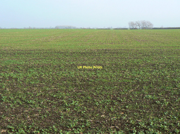 Photo 6"x4" Unwanted crop Hickling\/SK6929 c2011