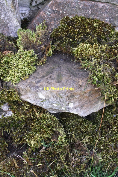 Photo 6"x4" Benchmark on wall of Carpley Green Road Cubeck c2011
