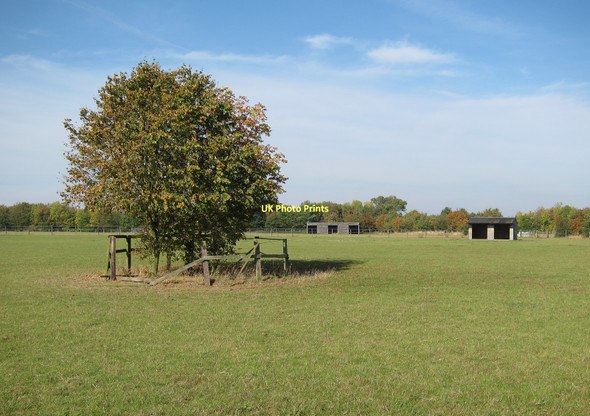 Photo 6"x4" Dullingham Ley Stud Dullingham Ley c2011