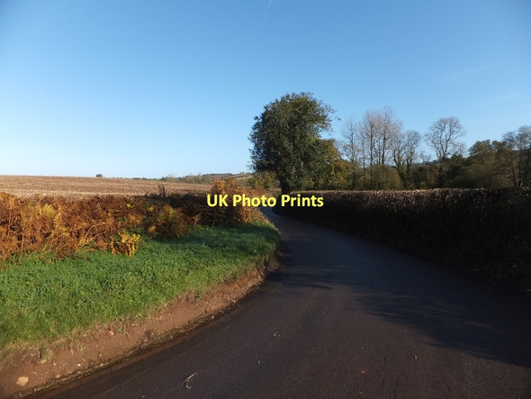 Photo 6"x4" The road to Stoford Water Stoford Water c2011