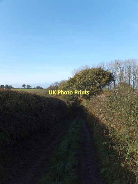 Photo 6"x4" Footpath and track east of Kentisbeare Stoford Water c2011