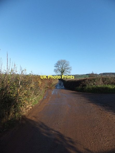 Photo 6"x4" The road to Stoford Water from the south Stoford Water c2011