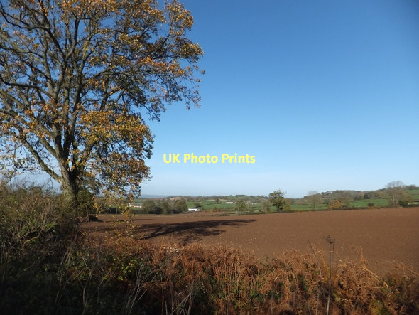 Photo 6"x4" Farmland near Henland Farms Hollis Green c2011
