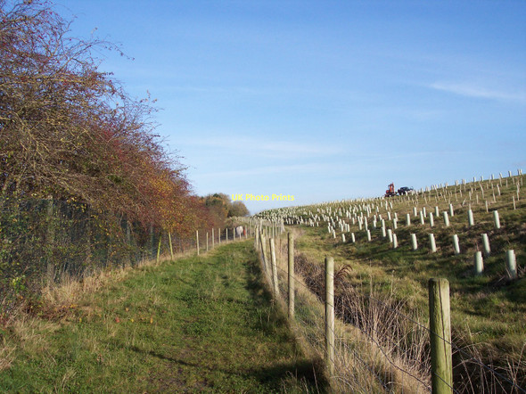 Photo 6"x4" Footpath diversion near Adlington Adlington\/SD6013 c2011