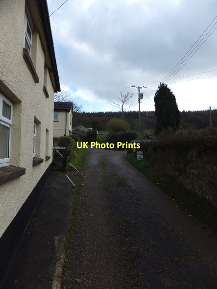 Photo 6"x4" Slow Cat on Road sign at Saint Hill Saint Hill c2011