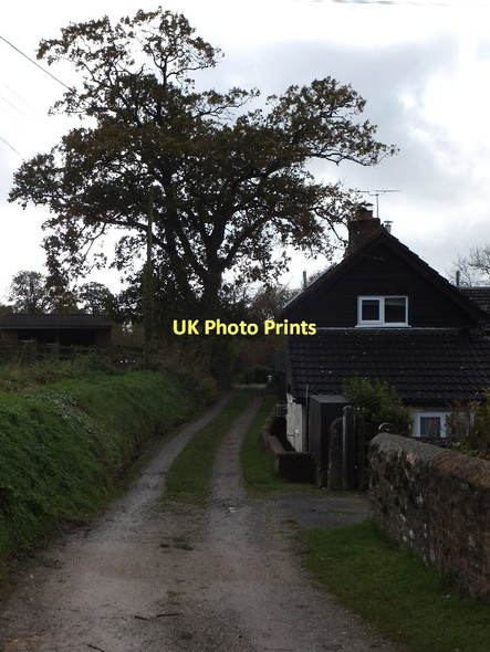 Photo 6"x4" Hill Gate Saint Hill c2011