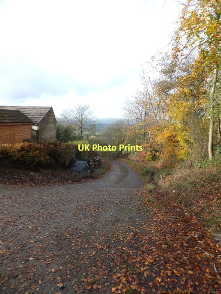 Photo 6"x4" Track passing Prospect Cottage Saint Hill c2011